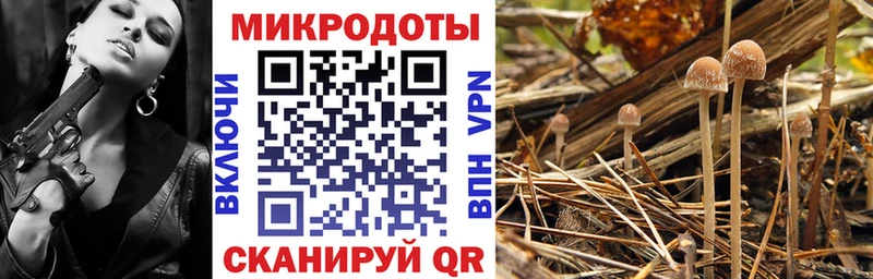 Галлюциногенные грибы мицелий  Пенза 